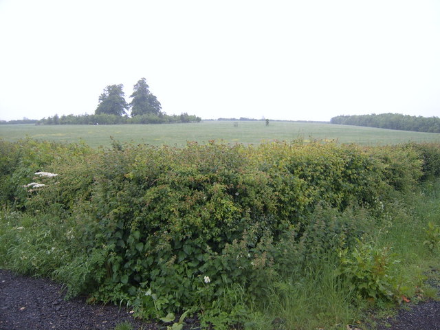 Fields near Roves Farm