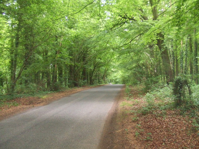 Newton Road Woods
