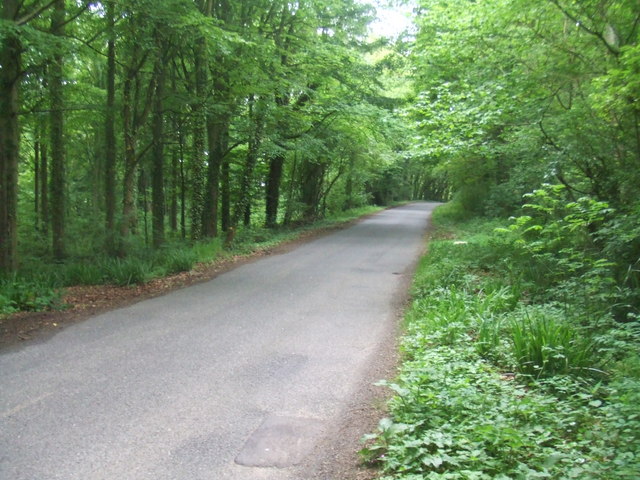 Newton Road Woods