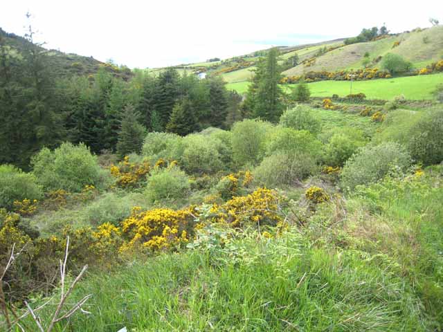 Wooded valley near Aghameen © Oliver Dixon cc-by-sa/2.0 :: Geograph Ireland