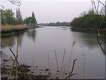 SU4314 : River Itchen between Riverside Park and Portswood Waste Water Treatment Works by Jim Champion