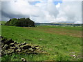 Viewpoint near Crowther