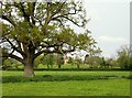 Towards Kirkham Farm