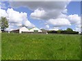 Horse farm at Ballygowan, Omagh