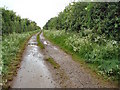 Footpath from Earl