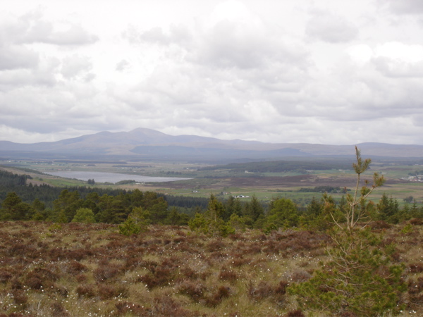 View to Loch Shin from South
