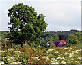 The Red Barn