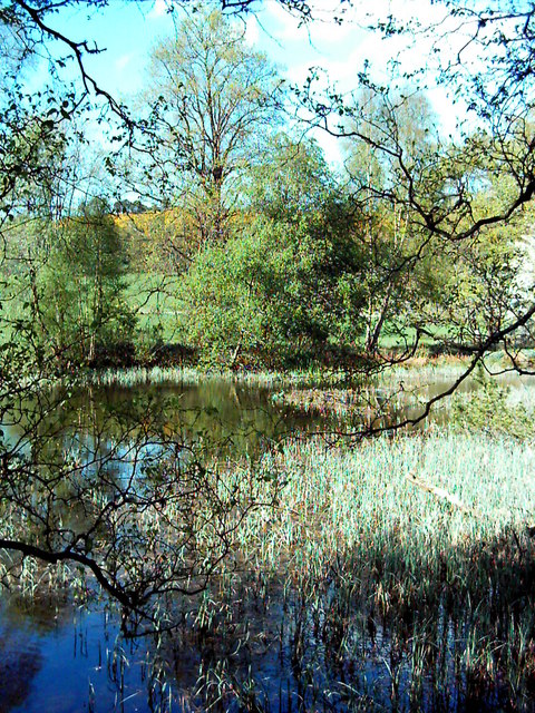 Pond at Leith Hall