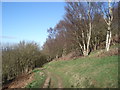 Path leading to the West Malvern road