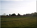 Farmland, Barry to the West.