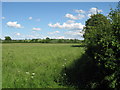 Field adjacent to minor road