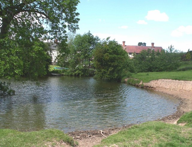 Pond at Lower Woodhouse