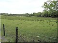 Drumcloona Townland