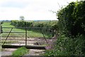 Hedge and field near Pitt Farm