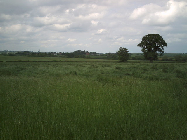 Farmland, looking towards Hoggeston