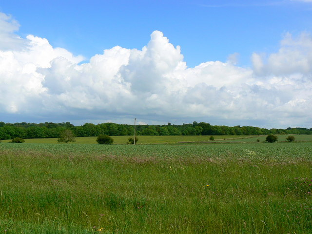 Farmland, The Shoe, Wiltshire