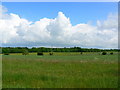 Farmland, The Shoe, Wiltshire