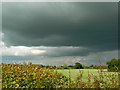 Field, sunshine and cloud near Yatton Keynell