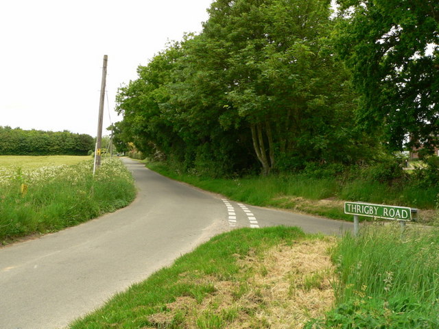 Thrigby Road leading from Runham to Thrigby
