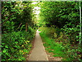 Public Footpath to St. Peter Church Gunton, Suffolk