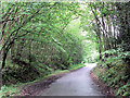 Watts Palace Lane, in Hoath Wood