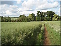 Bridleway down to Lower Grove Mill