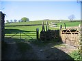 Gate and Stile on the Ribble Way