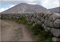 J3422 : Dry Stone wall by Paul McIlroy