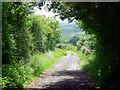 Track to Stonelink Farm