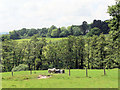 Sloping grassland above Brede valley