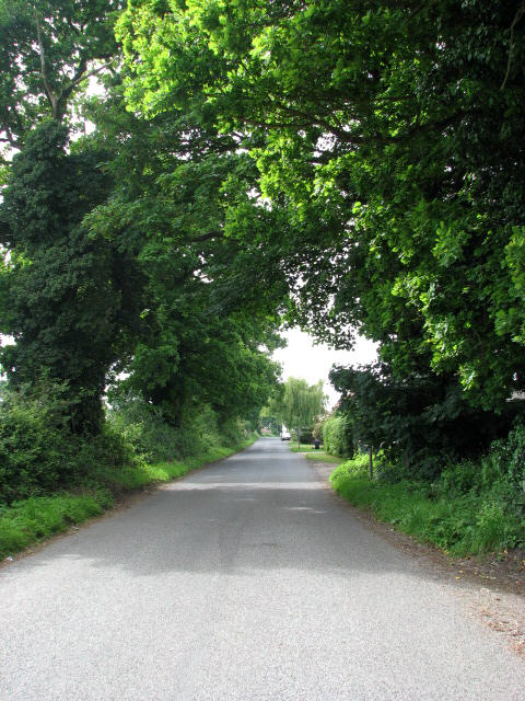 Aylsham Road