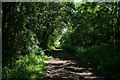 Farm track and bridleway near Waterloo Farm