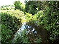 River Tarrant looking north at Tarrant Rushton