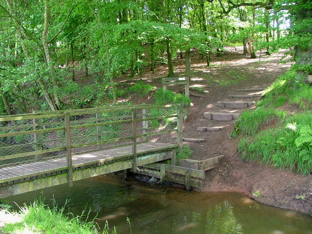 Footbridge in Ladderedge Country park © Neil Lewin cc-by-sa/2.0 ...