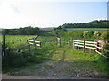 Bridleway to Brimsdown Hill