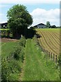 Path between fields to Lower Cowesfield Farm