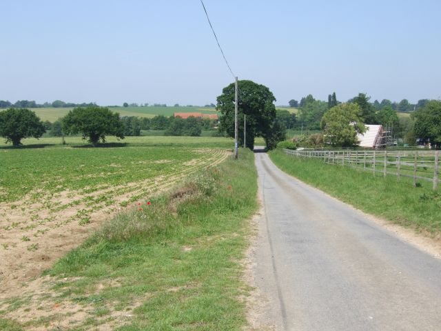 Looking Down Buck's Hill to Mundham Road