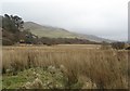 Wetland by Loch na Cuilce