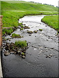 NS6842 : Avon Water at Brown's Bridge by Iain Thompson