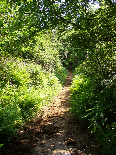 Greensand Footpath © Colin Smith :: Geograph Britain and Ireland