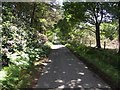 The Straight Road at Holton Heath