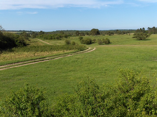 Milston Firs, Wiltshire - area information, map, walks and more