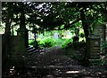 Entrance to Shipley Hirst Wood Burial Ground