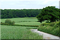 Crop Fields near Shirlett, Shropshire