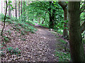 Bridleway around Shirlett High Park, Shropshire