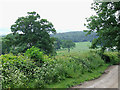 Farm Track and Fields, Shirlett, Shropshire