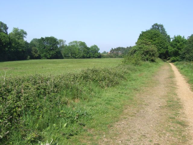 Open Land and Woodland by Marriott's Way