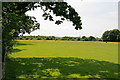 An undeveloped field in Whiteley, between Bader Way and Lady Betty