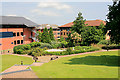 Landscaping behind 1500 Parkway, Solent Business Park