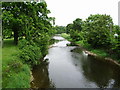 River Ribble  south of Grindleton